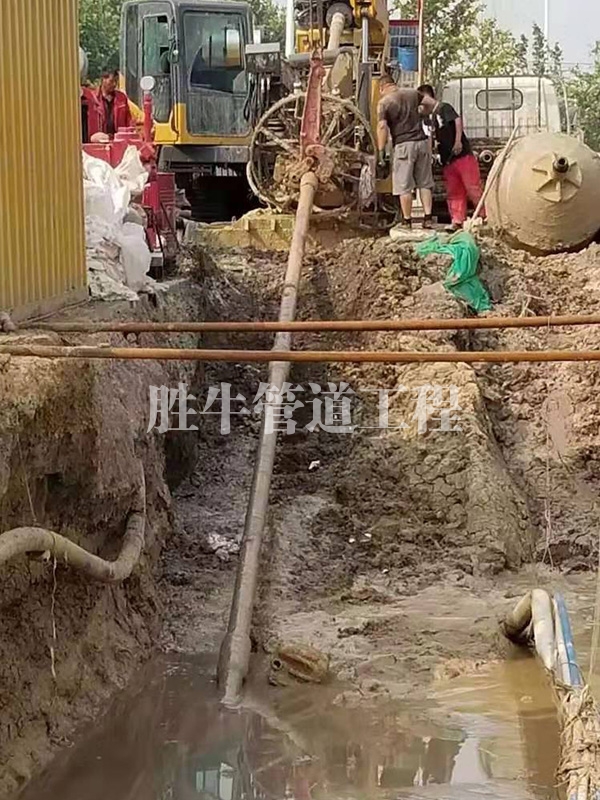 黄色91视频下载
