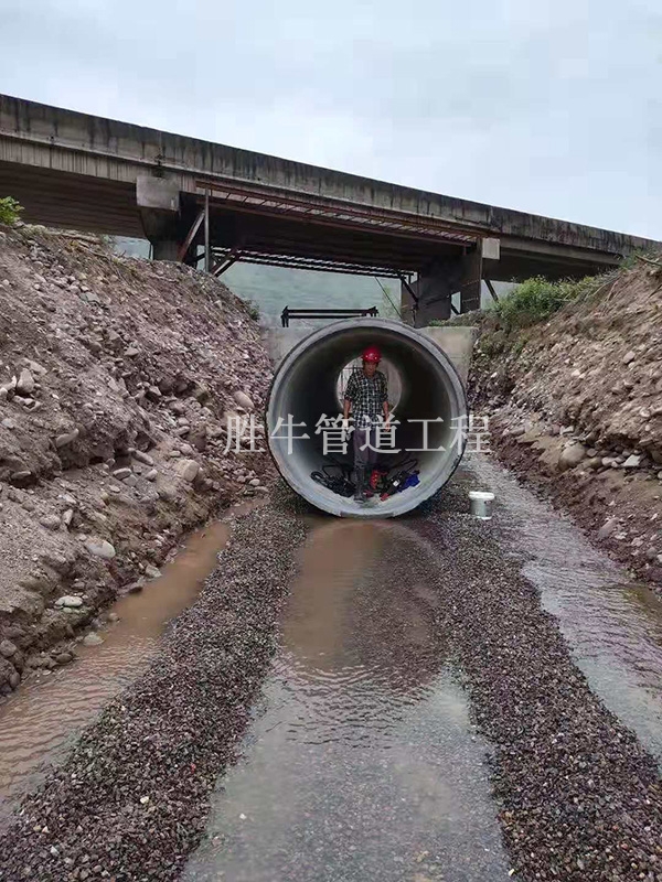91视频下载免费观看